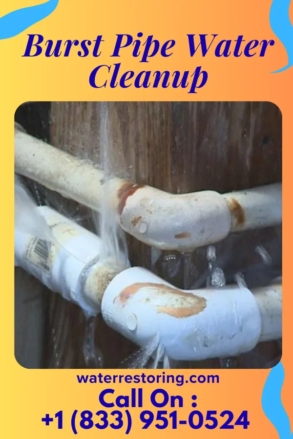 Burst Pipe Water Cleanup in Sweet Springs, MO