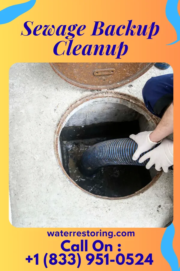 Sewage Backup Cleanup in Sweet Springs, MO